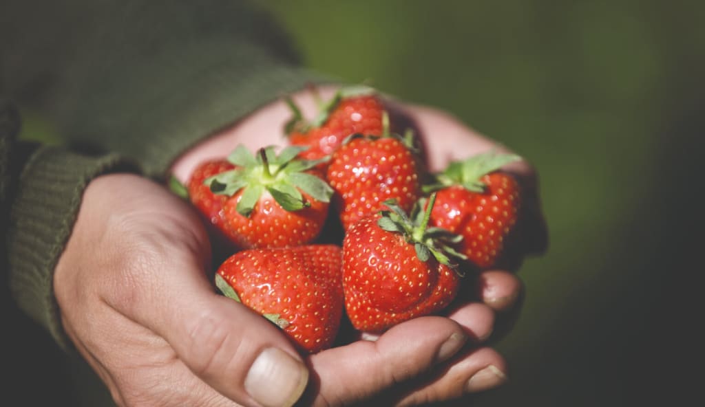 Poignée de fraises rouges