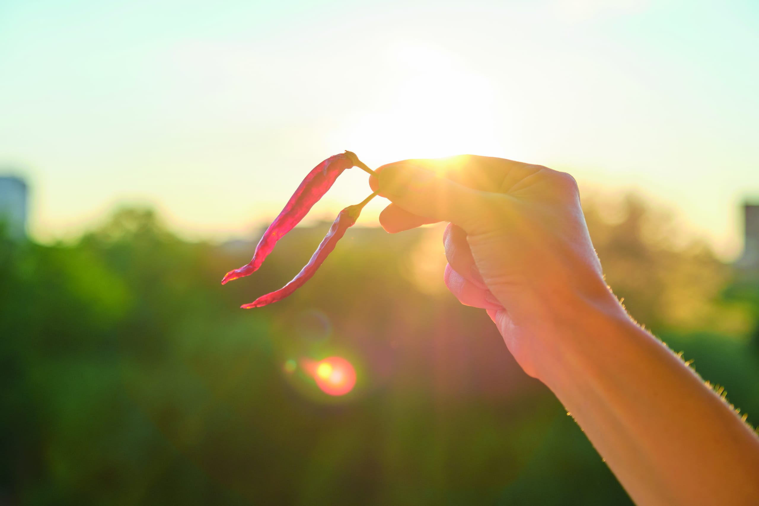 Les valeurs d'Interfel